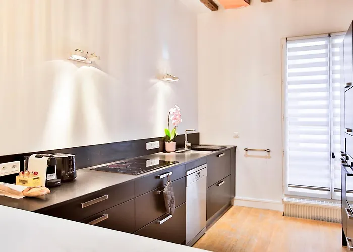 Marais 4 Bedrooms New Daire Paris